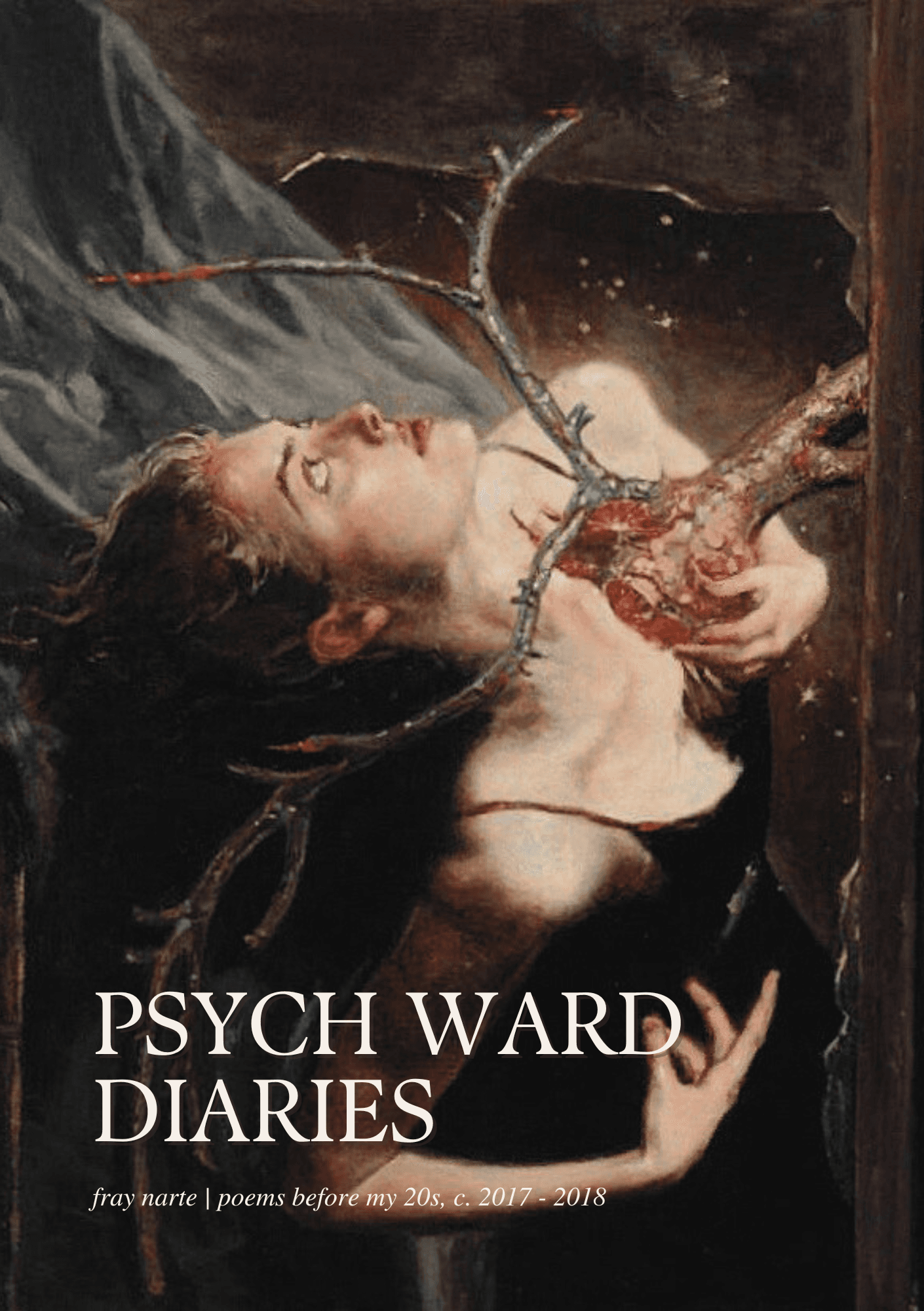 Psych Ward Diaries